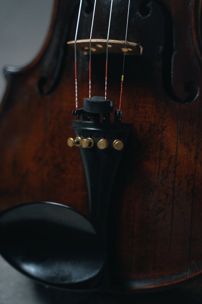 Detailed view of a violin tailpiece and chinrest, showcasing craftsmanship.